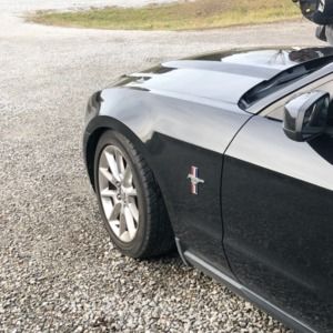 Meet your Posher, Dustin